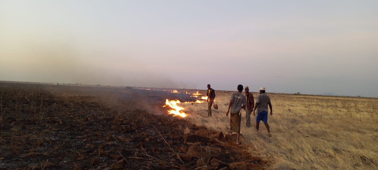 Intensifying Torbi Wildfire Forces Herders Into Bare, Dusty Lands With No Pasture